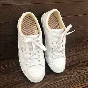 New TAOS Canvas Lace-Up Sneakers, Size 9.5.
